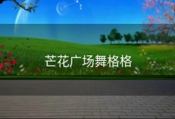 芒花广场舞格格