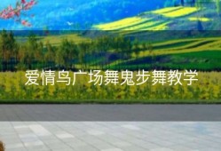 爱情鸟广场舞鬼步舞教学