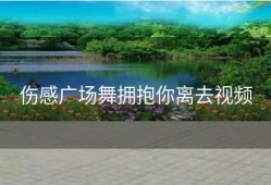 伤感广场舞拥抱你离去视频
