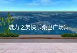 魅力之美快乐桑巴广场舞