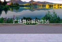 广场舞分解动作56