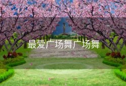 最爱广场舞广场舞