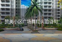 赞美小区广场舞红火的诗句