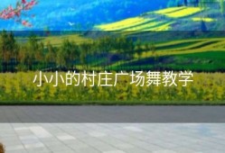 小小的村庄广场舞教学