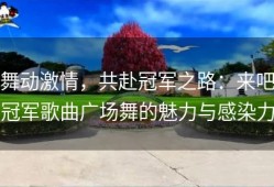 舞动激情，共赴冠军之路：来吧冠军歌曲广场舞的魅力与感染力