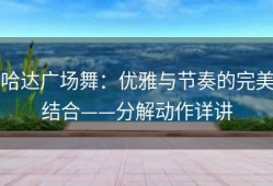 哈达广场舞：优雅与节奏的完美结合——分解动作详讲