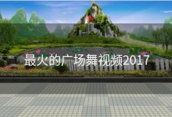 最火的广场舞视频2017