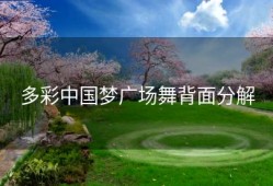 多彩中国梦广场舞背面分解