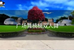 广场舞楠楠双人舞