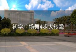 初学广场舞4步大秧歌