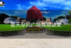 夏天穿的广场舞裙装女