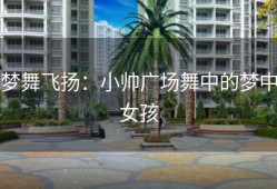 梦舞飞扬：小帅广场舞中的梦中女孩