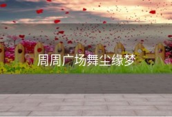 周周广场舞尘缘梦