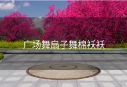 广场舞扇子舞棉袄袄