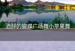 酒醉的蝴蝶广场舞小苹果舞