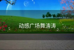 动感广场舞涛涛