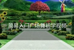 简易入门广场舞初学视频