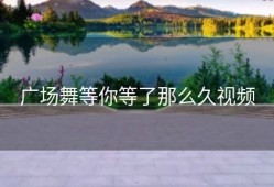 广场舞等你等了那么久视频