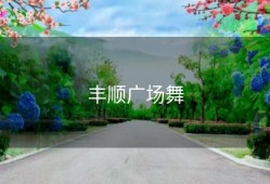 丰顺广场舞