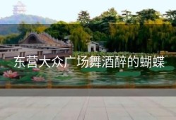 东营大众广场舞酒醉的蝴蝶
