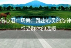 伤心泪广场舞：跳出心灵的旋律，感受群体的温暖