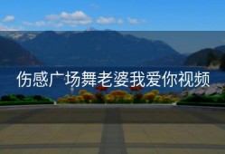 伤感广场舞老婆我爱你视频