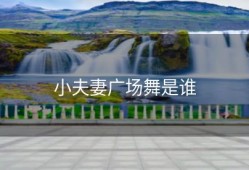 小夫妻广场舞是谁