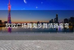 欣欣广场舞鬼步舞情路弯弯