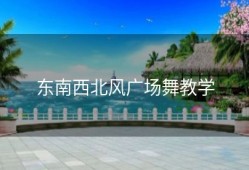 东南西北风广场舞教学