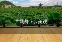 广场舞16步美观