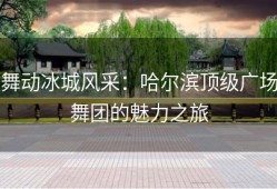 舞动冰城风采：哈尔滨顶级广场舞团的魅力之旅