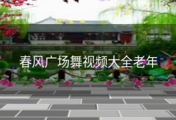 春风广场舞视频大全老年