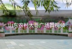 山东农村大哥广场舞视频