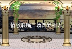 情歌联唱广场舞醉相思