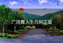 广场舞人生几何正面