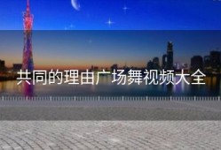 共同的理由广场舞视频大全