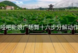 哑吧新娘广场舞十六步分解动作