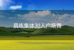 晨练集体30人广场舞
