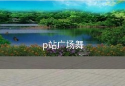 p站广场舞