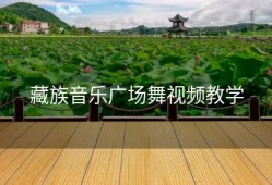 藏族音乐广场舞视频教学