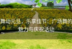 舞动元旦，乐享佳节：广场舞的魅力与庆祝活动