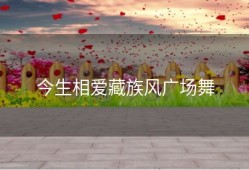 今生相爱藏族风广场舞