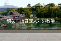 韶关广场舞双人对跳教学