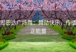 思密达广场舞：舞动快乐，传播正能量