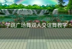 学跳广场舞双人交谊舞教学