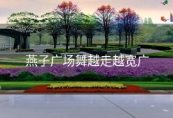 燕子广场舞越走越宽广