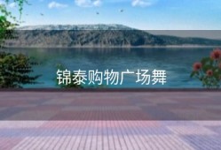 锦泰购物广场舞