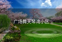 广场舞天琴湾小区