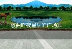 歌曲昨夜星辰的广场舞