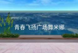 青春飞扬广场舞米娜